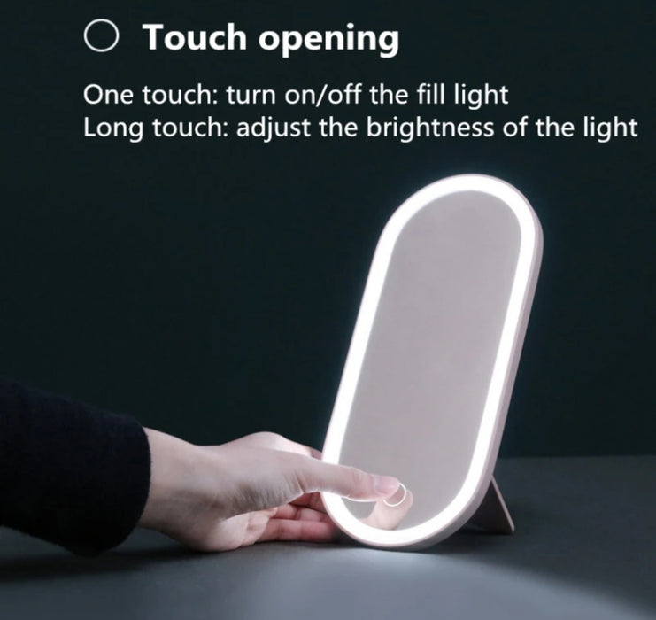 Portable Handheld Storage Makeup Case with Led Mirror